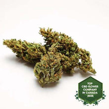 Load image into Gallery viewer, The Ambassador Infused CBD Flower-01