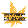 Golden Spruce