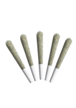 Load image into Gallery viewer, PLPK Pre-rolls-02