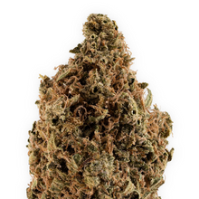 Load image into Gallery viewer, Sour Tangie-03