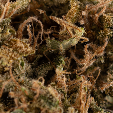 Load image into Gallery viewer, Sour Tangie-04