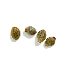 Load image into Gallery viewer, Durban Violette Feminized Seeds