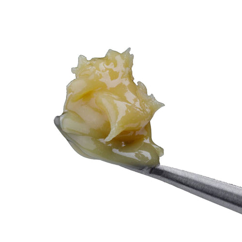 White Gold Live Rosin-01