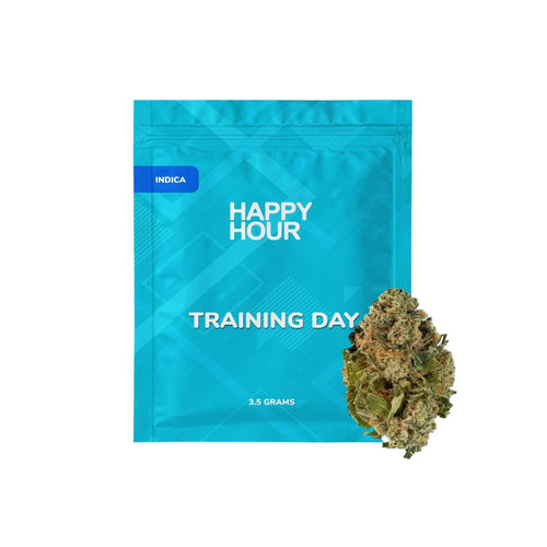 Training Day-01
