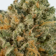 Load image into Gallery viewer, Licorice Gumball-04
